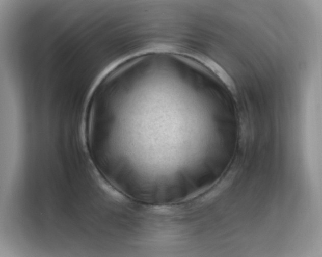 X0000111600904200907301444