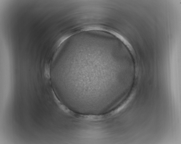 X0000111600905200907301444