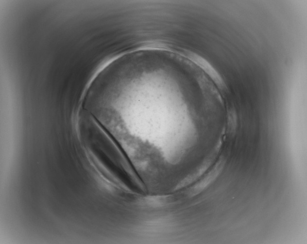 X0000111600908200907301444