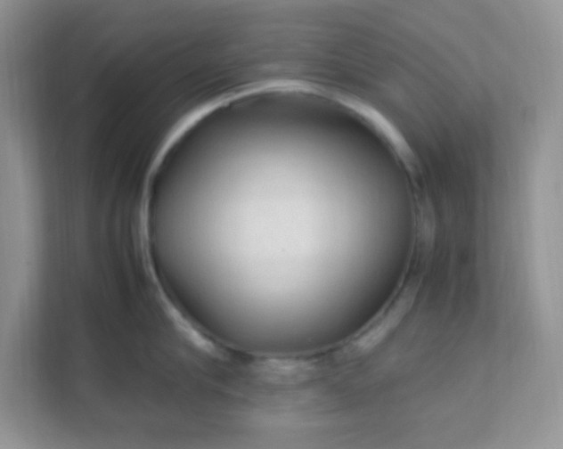 X0000111600910200907301444