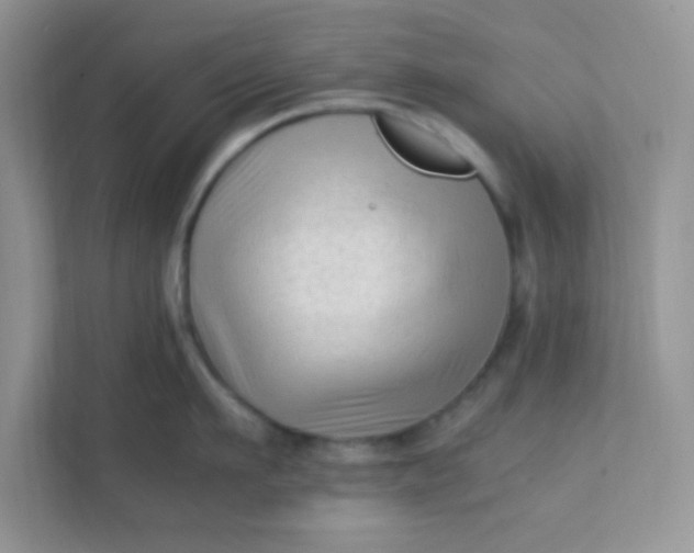 X0000111600911200907301444