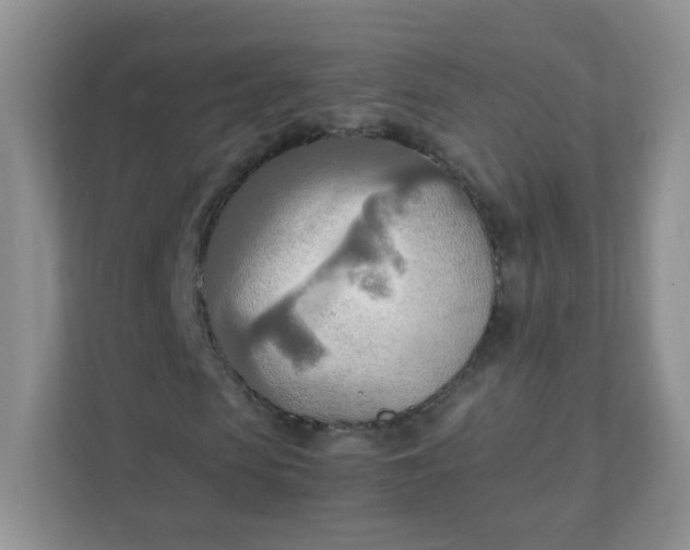 X0000111600913200907301443