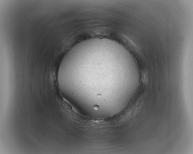 X0000111600915200907301443