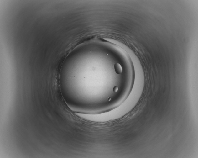 X0000111600916200907301443