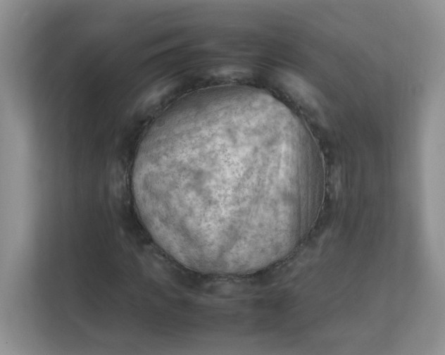 X0000111600917200907301443