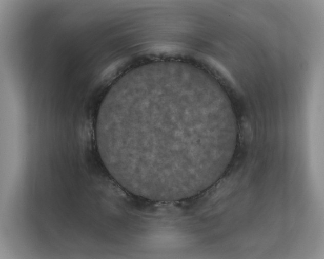 X0000111600918200907301443