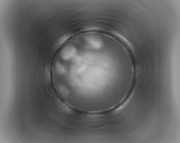 X0000111600921200907301443
