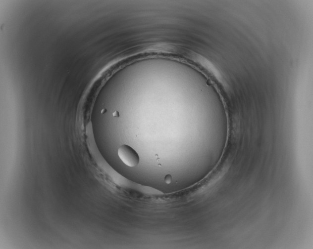 X0000111600923200907301443