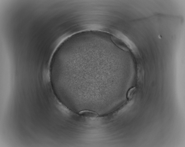 X0000111600924200907301443