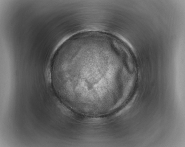 X0000111600925200907301443