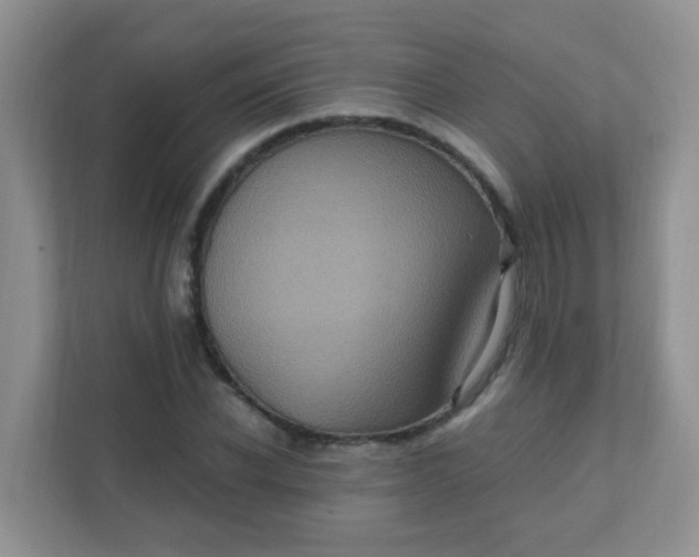 X0000111600926200907301443