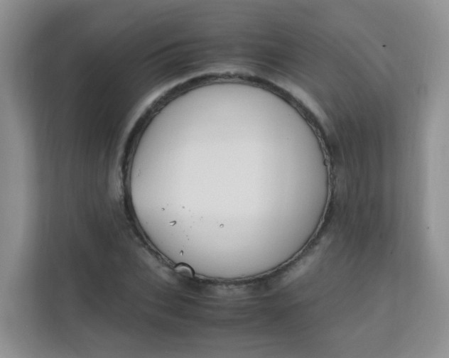 X0000111600927200907301443