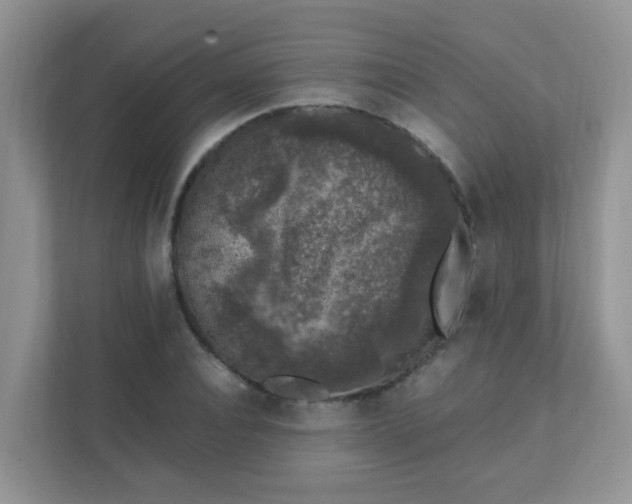X0000111600928200907301443