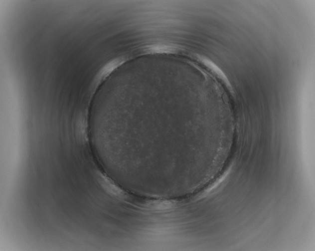 X0000111600930200907301443