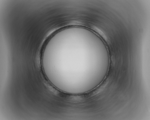 X0000111600931200907301443