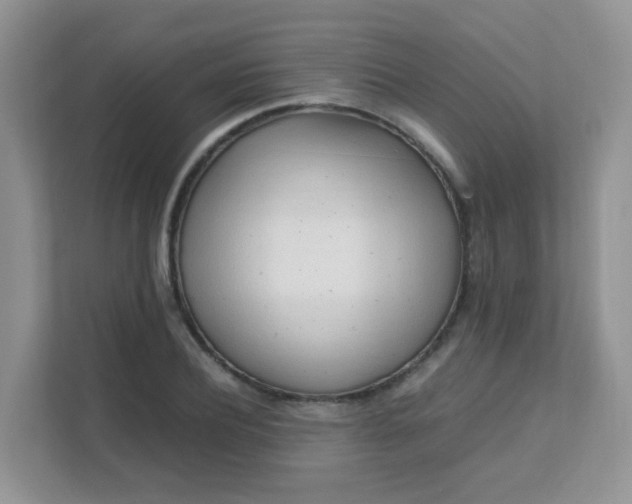 X0000111600932200907301443
