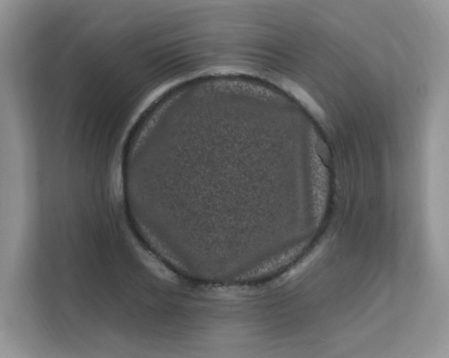 X0000111600934200907301443