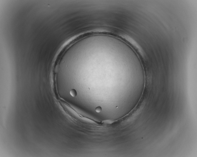 X0000111600935200907301443