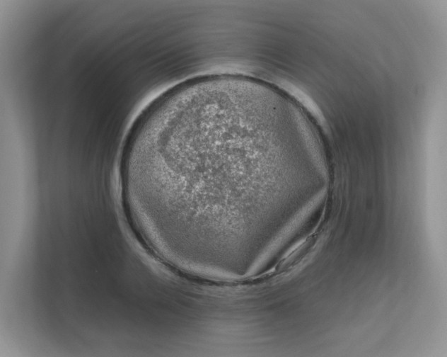 X0000111600936200907301443