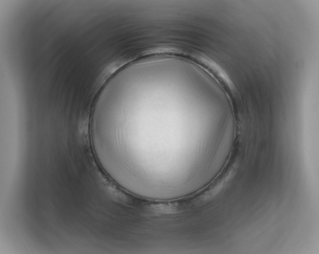 X0000111600937200907301443