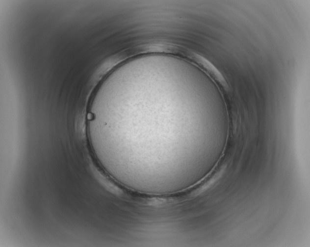 X0000111600938200907301443