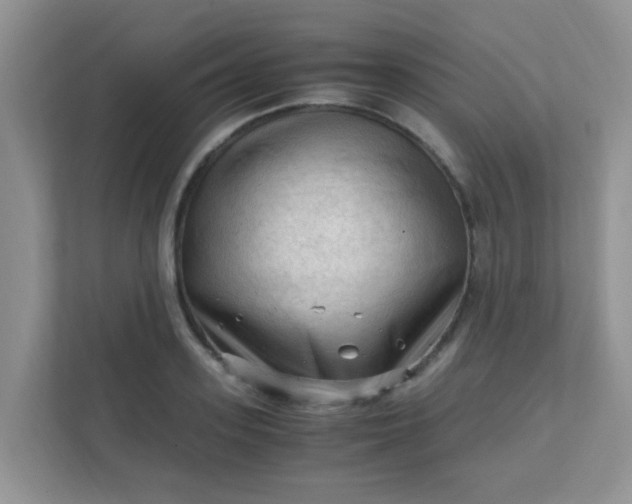 X0000111600939200907301444