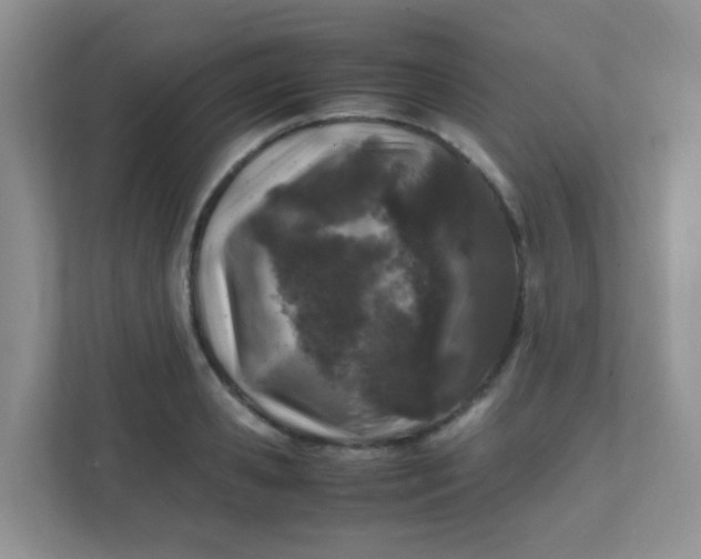 X0000111600941200907301444