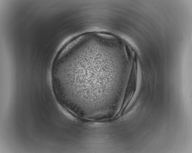 X0000111600942200907301444