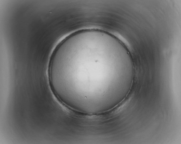 X0000111600943200907301444