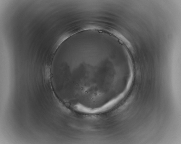 X0000111600945200907301444