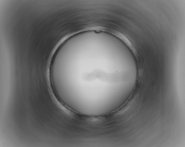 X0000111600947200907301444