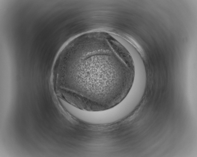 X0000111600948200907301444