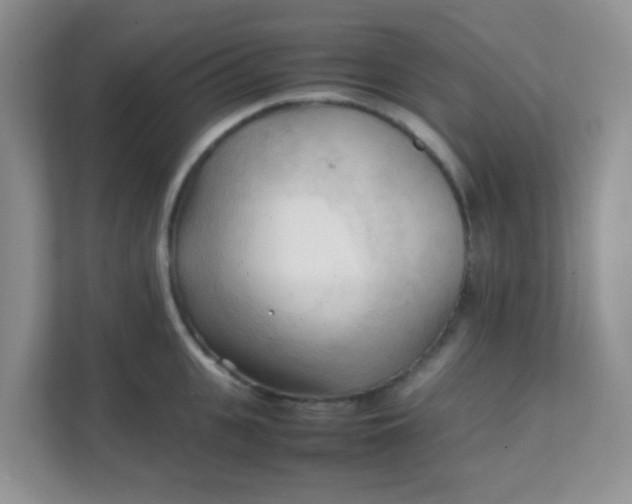 X0000111600951200907301444