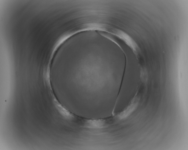X0000111600952200907301444