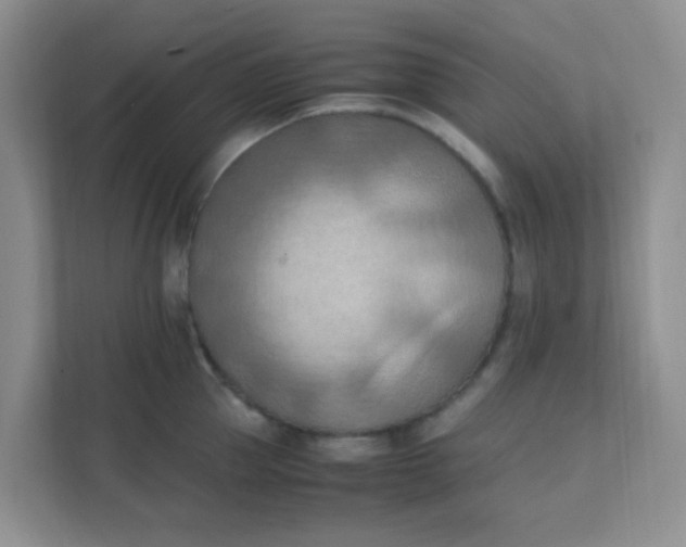 X0000111600953200907301444