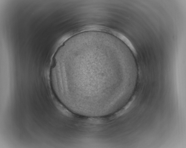 X0000111600954200907301444