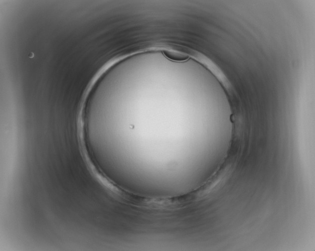 X0000111600955200907301444