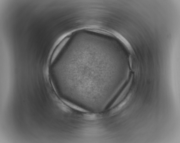 X0000111600956200907301444