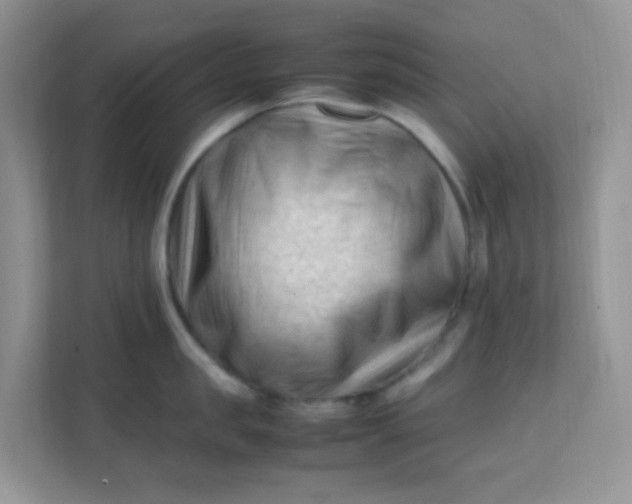 X0000111600957200907301444