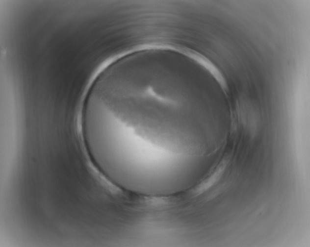 X0000111600958200907301444