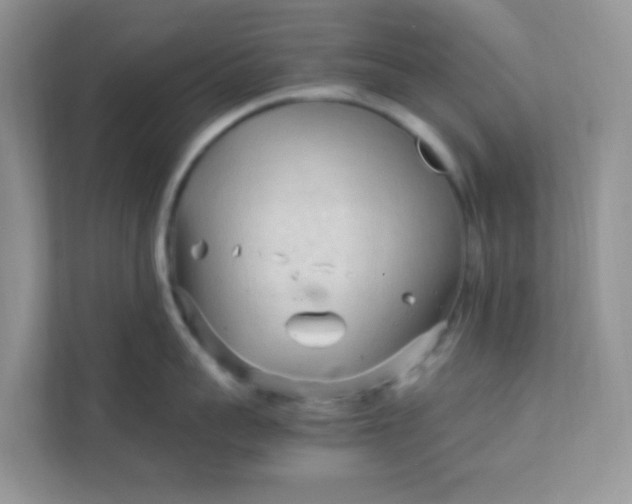 X0000111600959200907301444