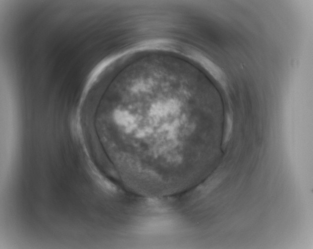 X0000111600960200907301444