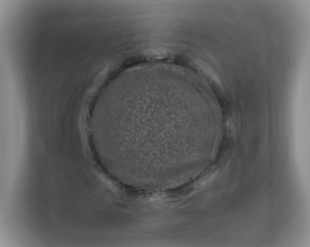 X0000111600961200907301443