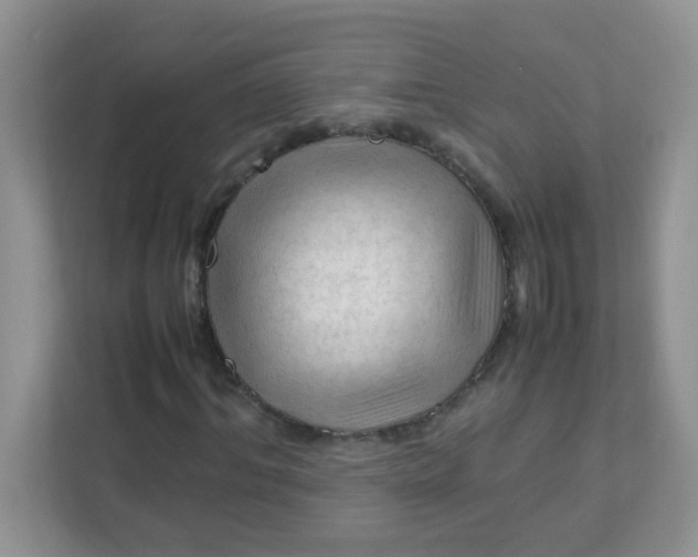 X0000111600964200907301443