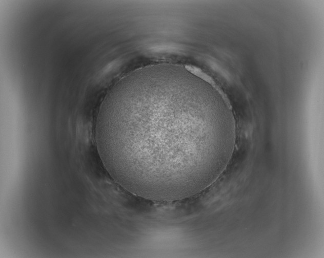 X0000111600965200907301443