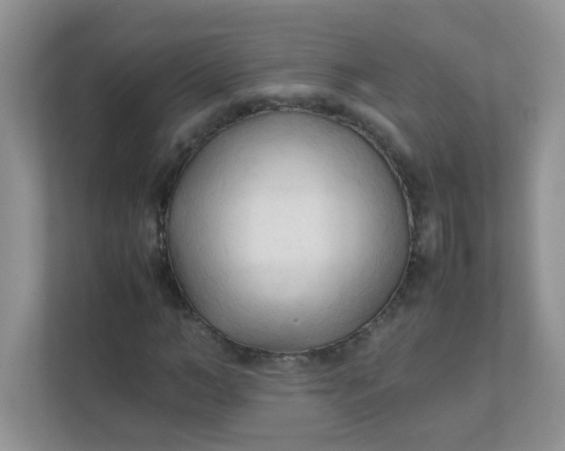X0000111600966200907301443