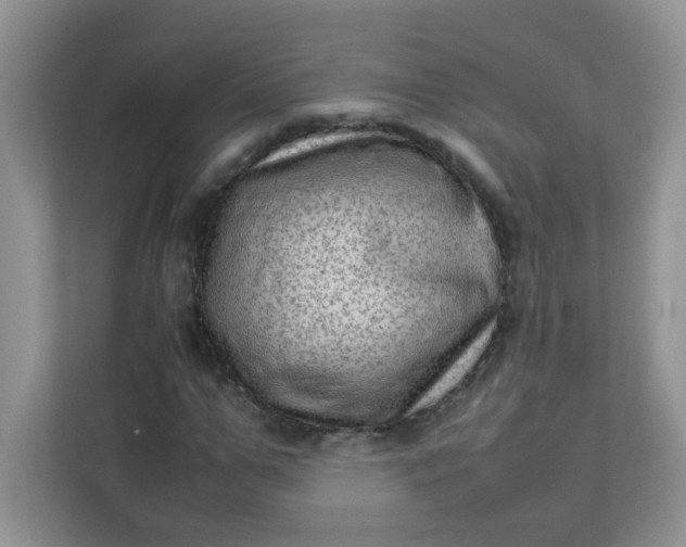 X0000111600967200907301443