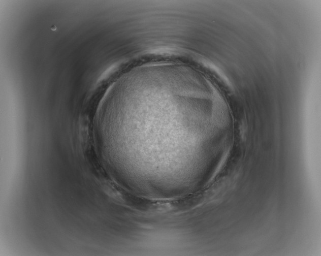 X0000111600968200907301443