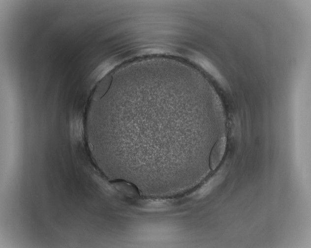 X0000111600969200907301443