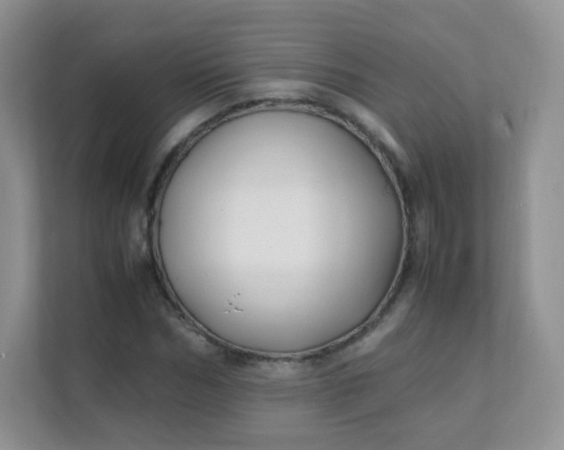 X0000111600970200907301443